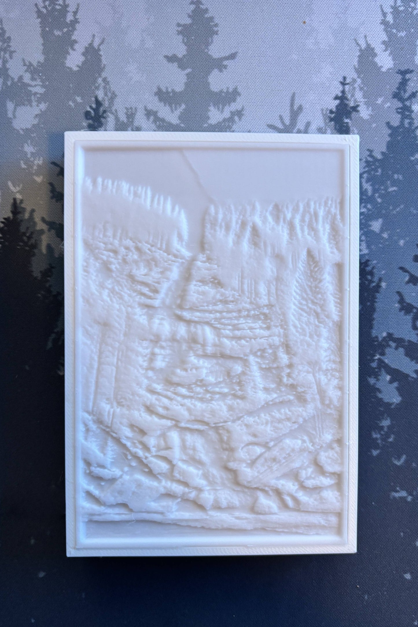 Lichtbild (lithophane)